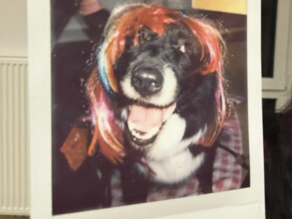 Condolence image of Der Lange