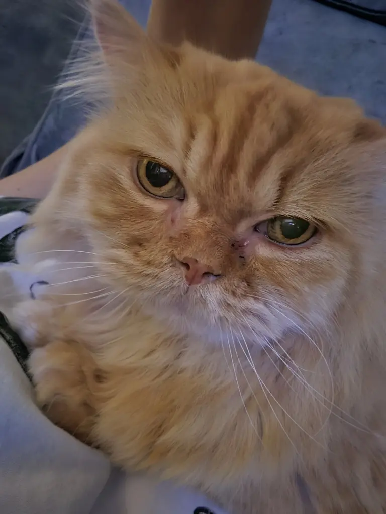 Condolence image of Petra Blodau