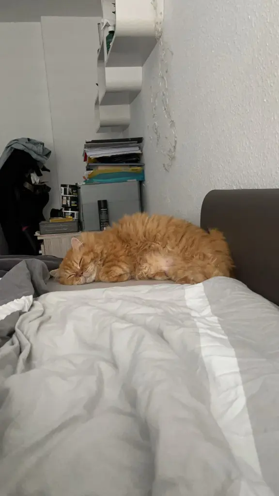 Condolence image of Tim