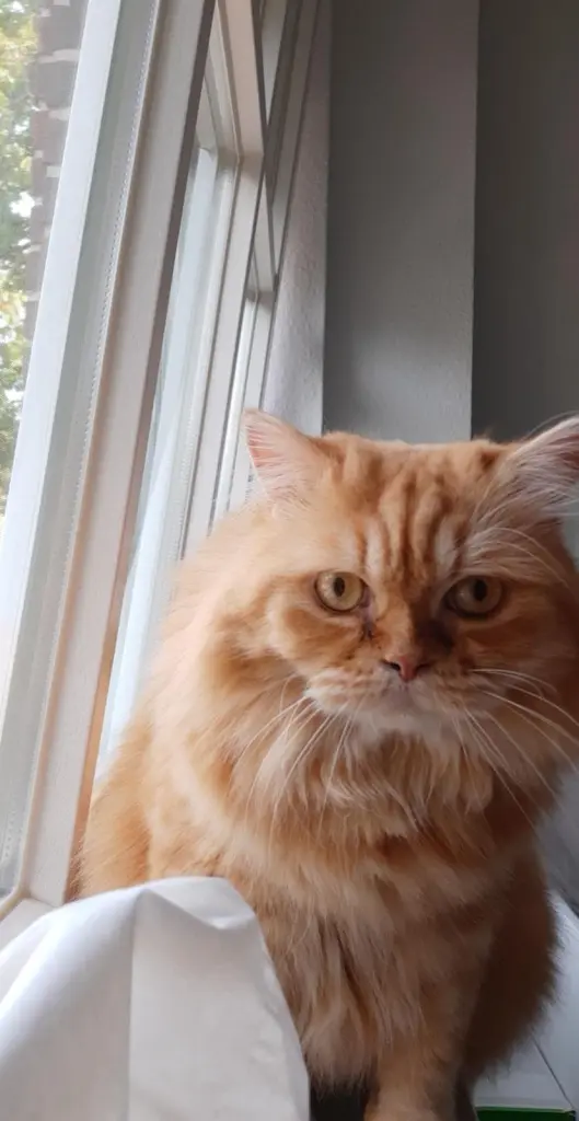 Condolence image of Petra &Thorsten