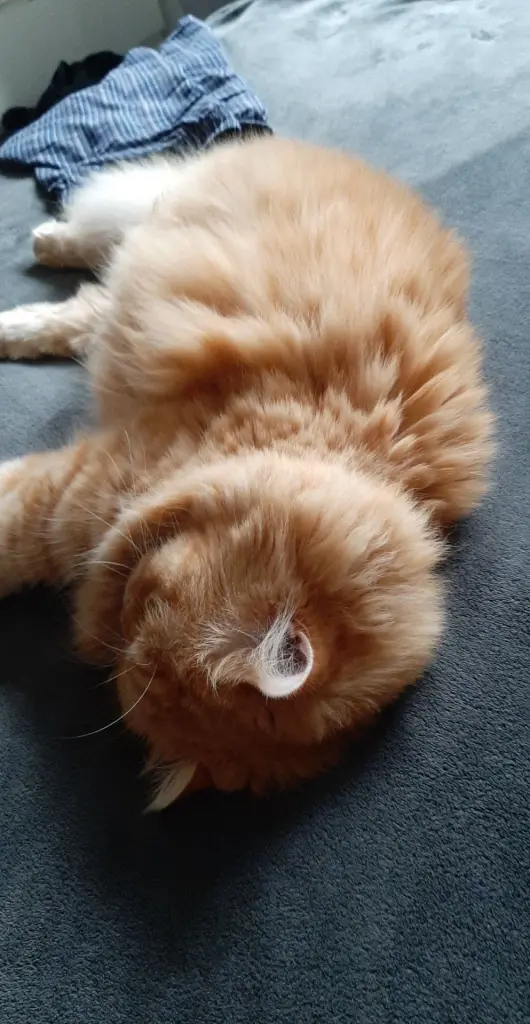 Condolence image of Tim