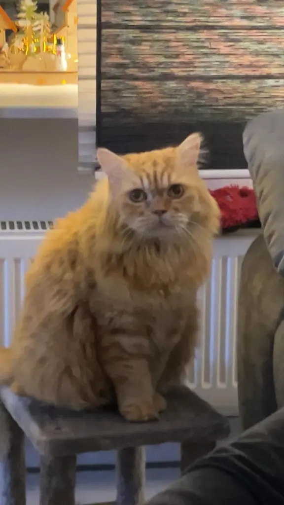 Condolence image of Petra Blodau