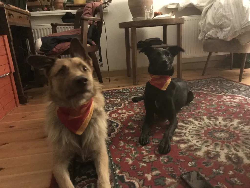 Condolence image of Denise Dusold