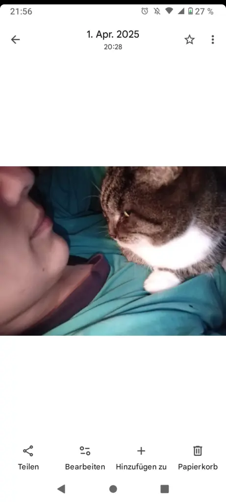 Wir haben es geliebt täglich eng zusammen zu Kuscheln