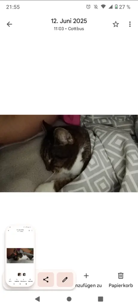 Unter meine Decke kuscheln war immer dein Lieblingsplatz
