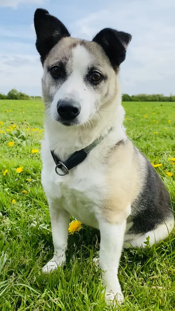 Condolence image of Gabriele Weber