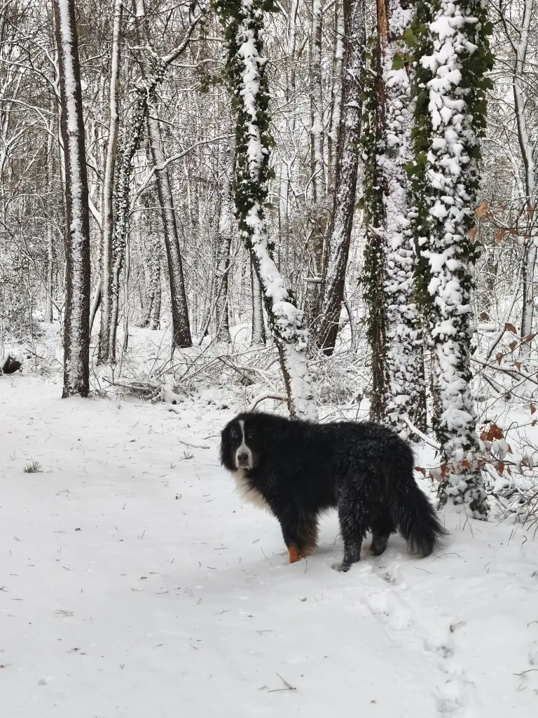 Mein Wetter 👍🌨️☃️