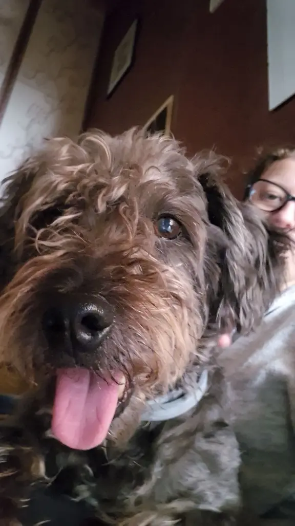 Andachtsbild von Michelle