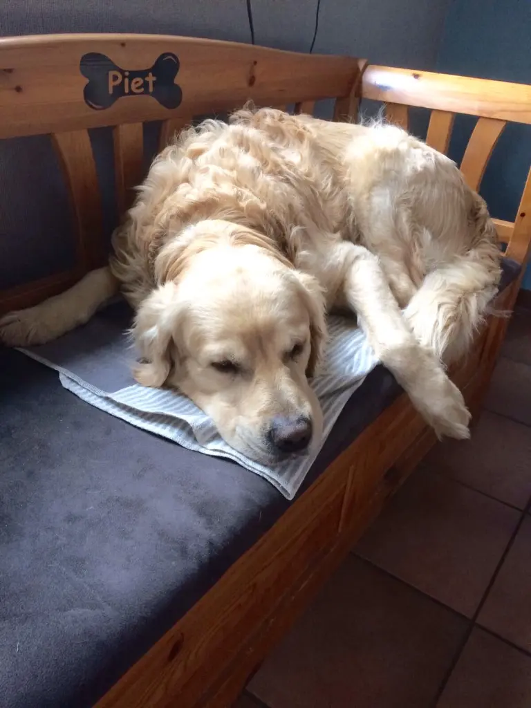 Condolence image of Andy und Piet  ❤️