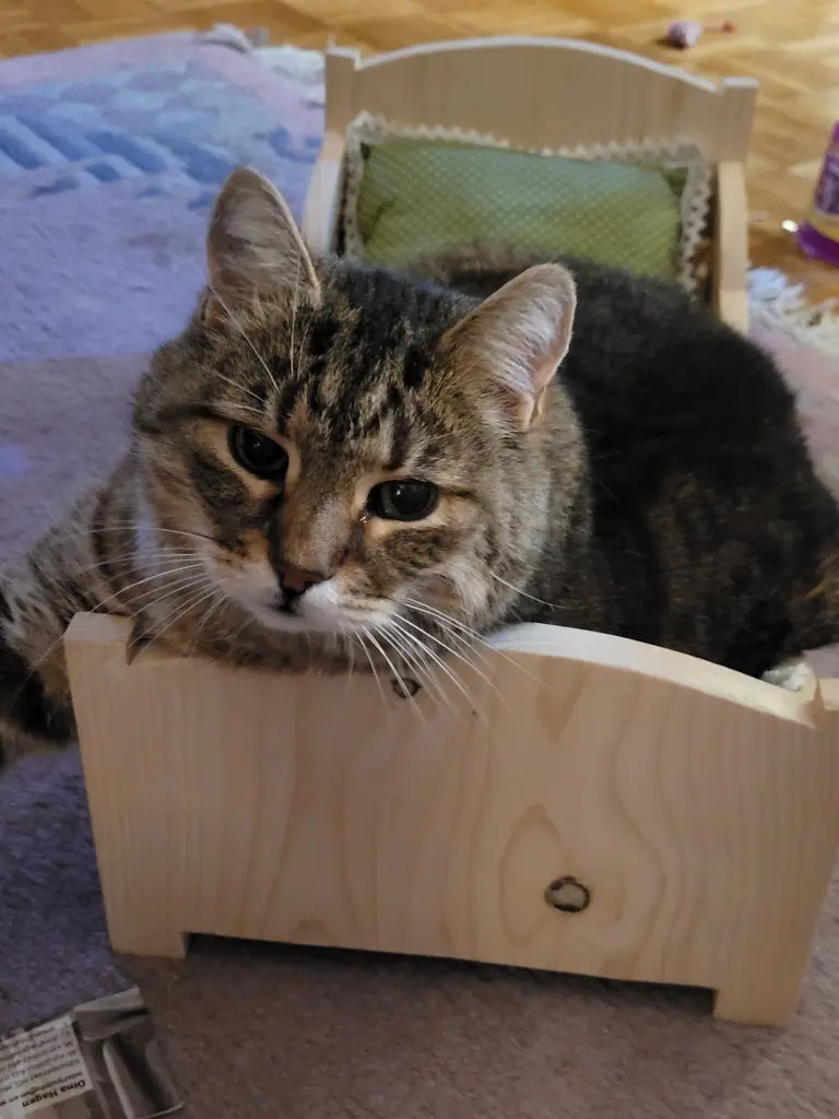 Mucki sein Bettchen.