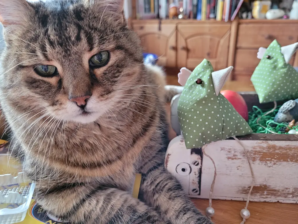 Ich habe oft was gesucht, und er lag drauf. Mein Held.