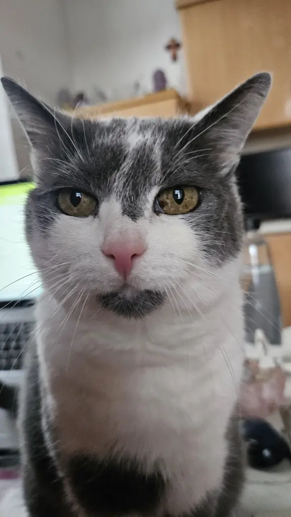 Andachtsbild von Gabriele