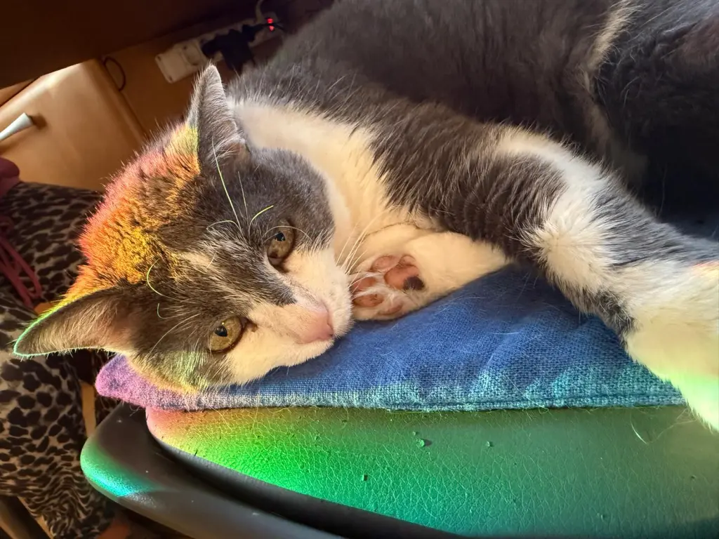 Condolence image of Gabriele