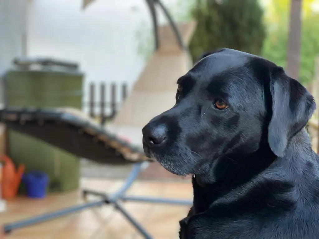 Condolence image of Rita Urbasik