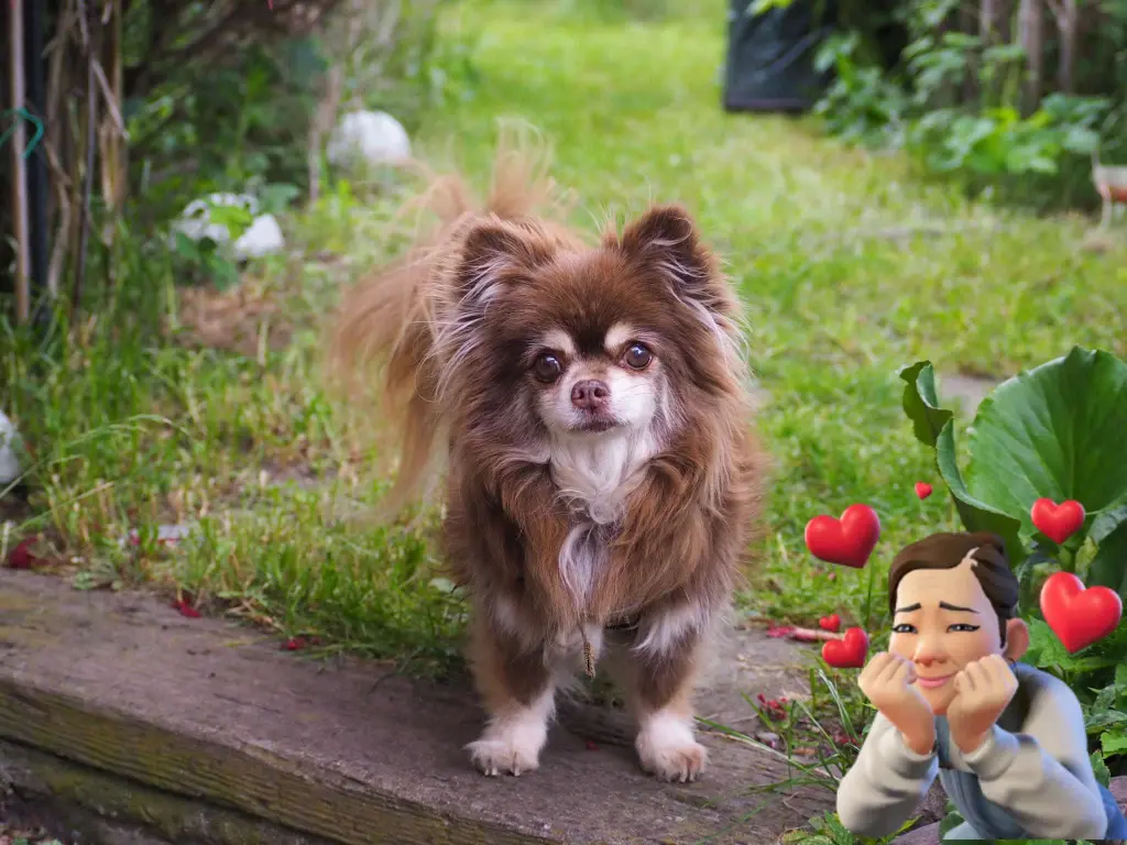 Condolence image of Jenny Grugel