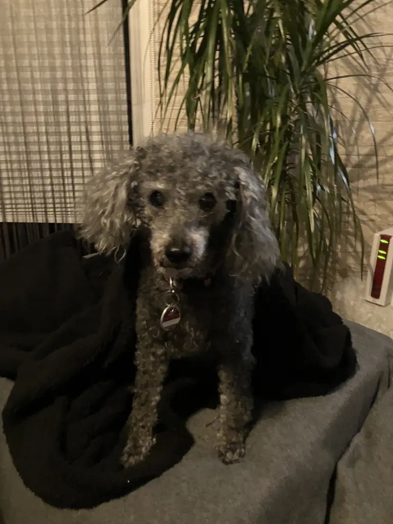 Condolence image of Kerstin Temmen