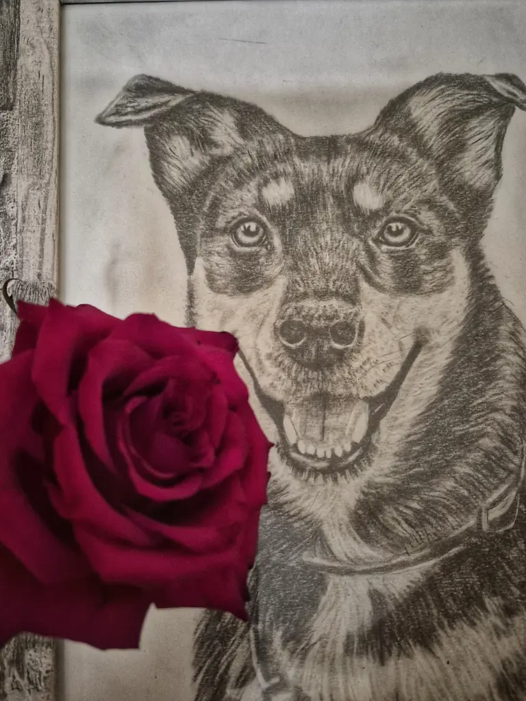 Condolence image of Uwe Chszaniecki