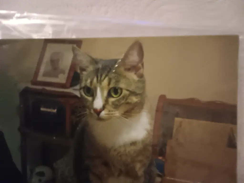 Andachtsbild von Petra Akers