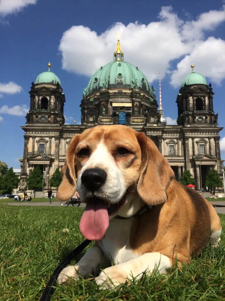 Image from Lemmy