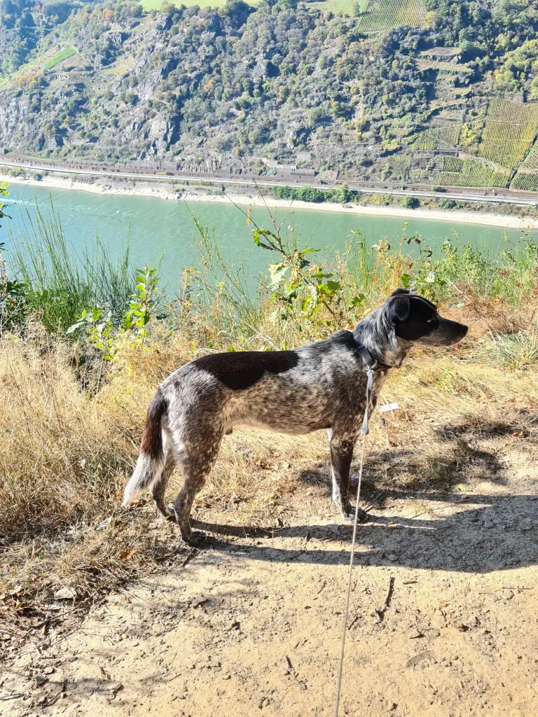 Mal wieder auf Wanderschaft