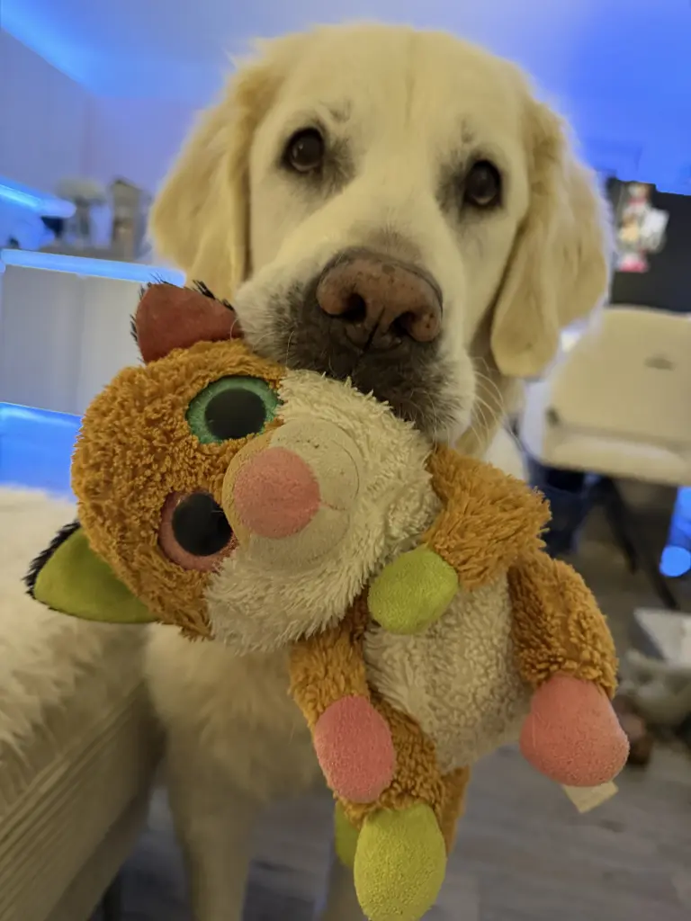 Mein kleiner Clown, er lebte sein Kuscheltier über alles