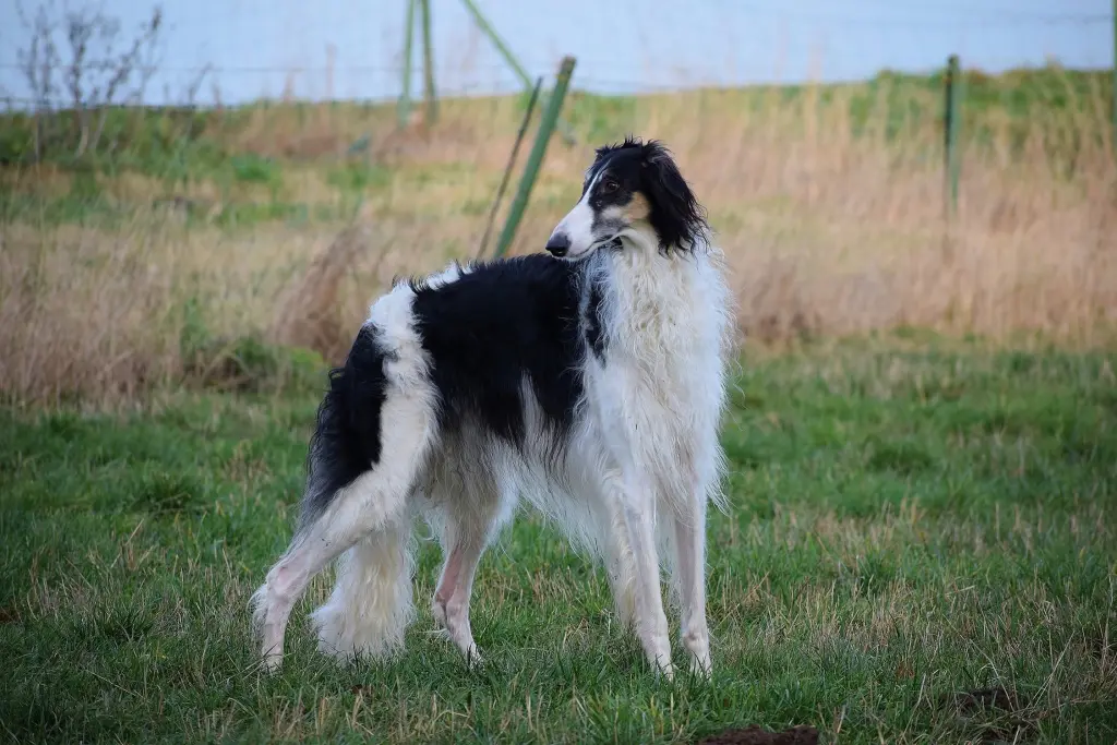 Image from Betty Blue