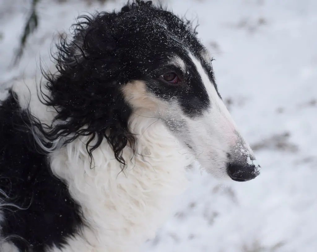 Image from Betty Blue