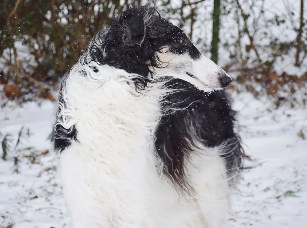 Image from Betty Blue