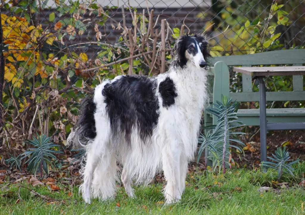 Image from Betty Blue