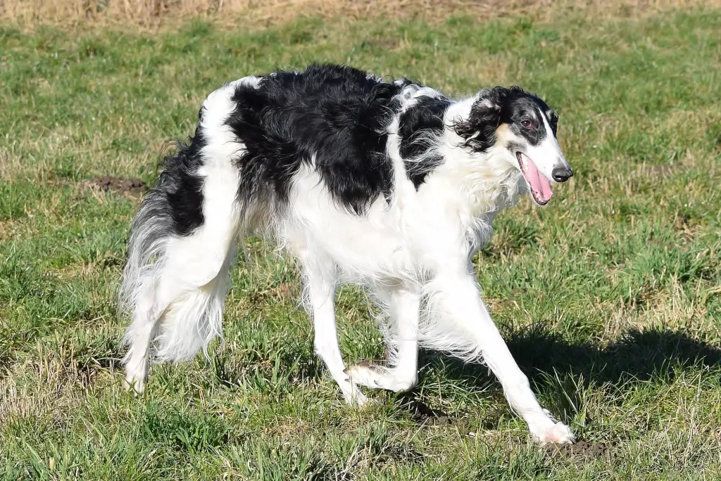 Image from Betty Blue