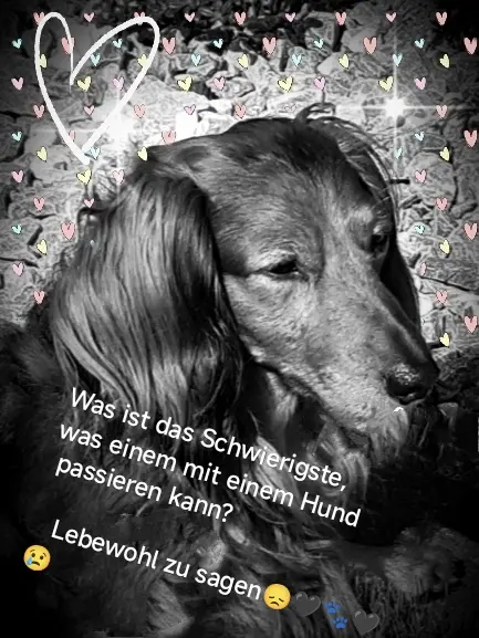 Trauer 🖤🙏🏼🕯️