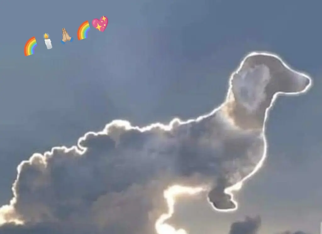 Angekommen 🌈🕯️🌈🌹