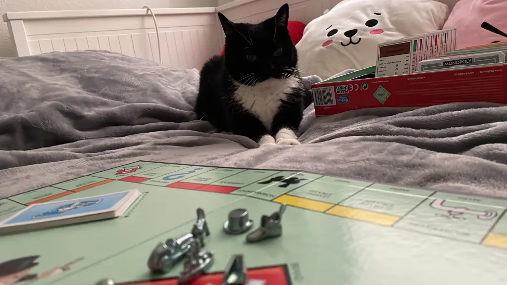 Hat mit mir auch gerne Monopoly gespielt