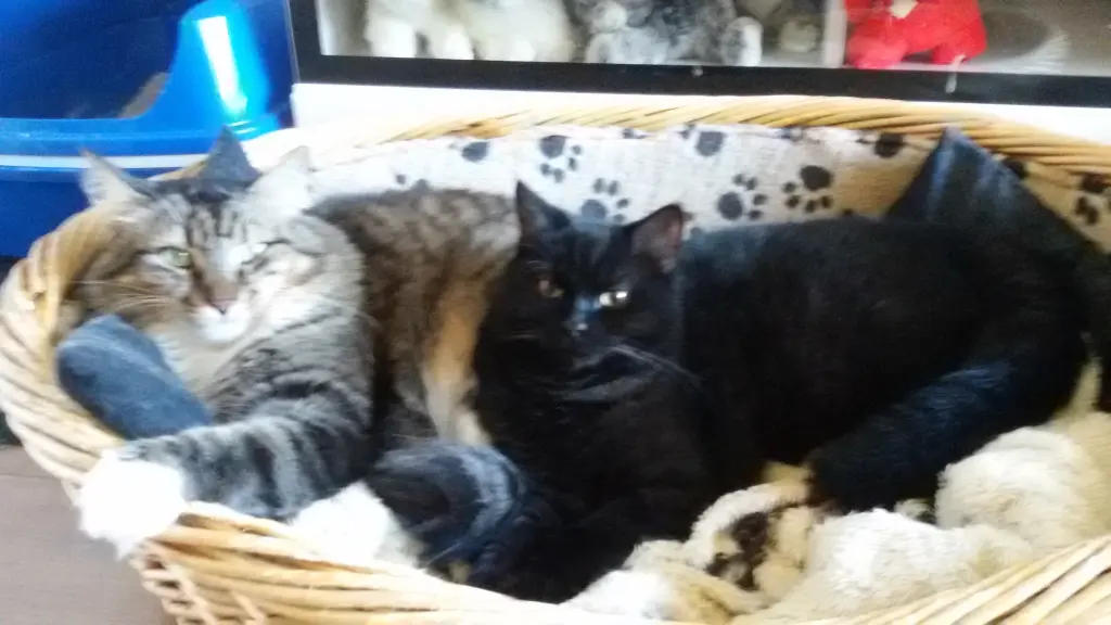 Jetzt seid ihr wieder zusammen ❤️😘