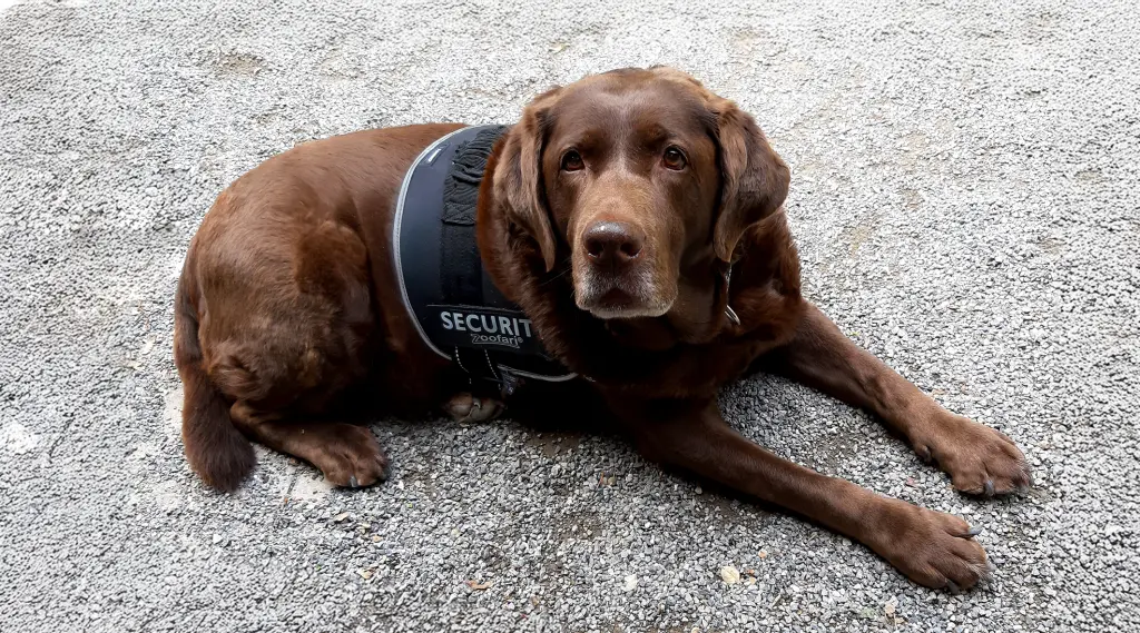 Pausen müssen auch sein.