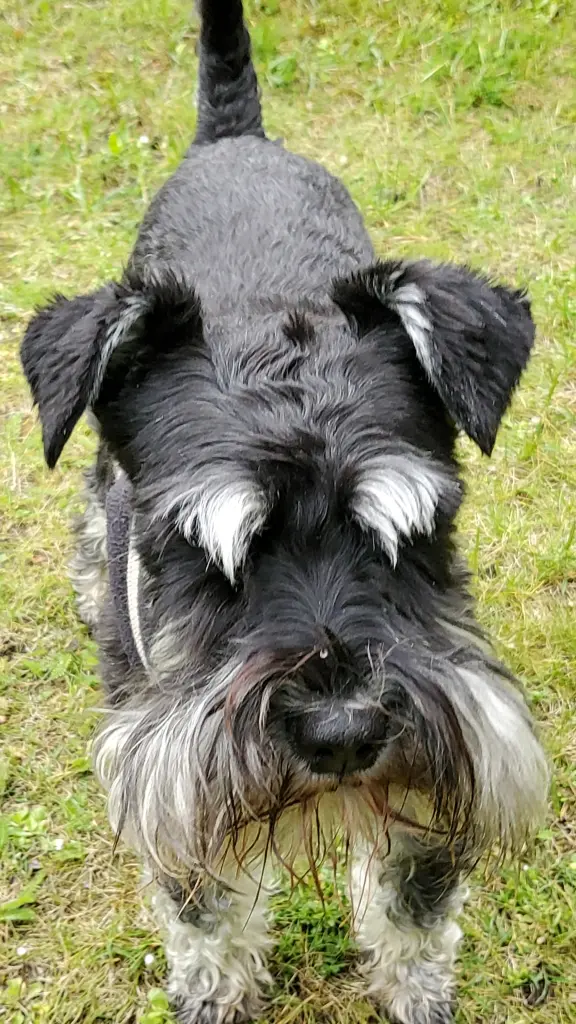 Bild von Molly