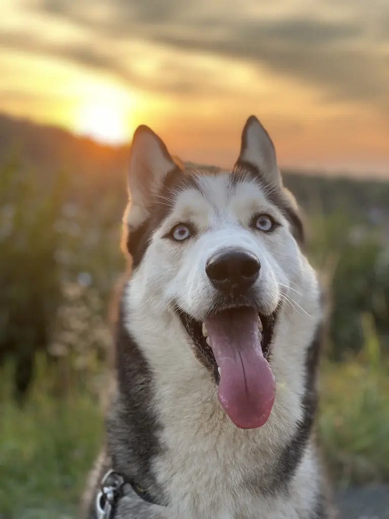 Condolence image of Jasmin Uebler
