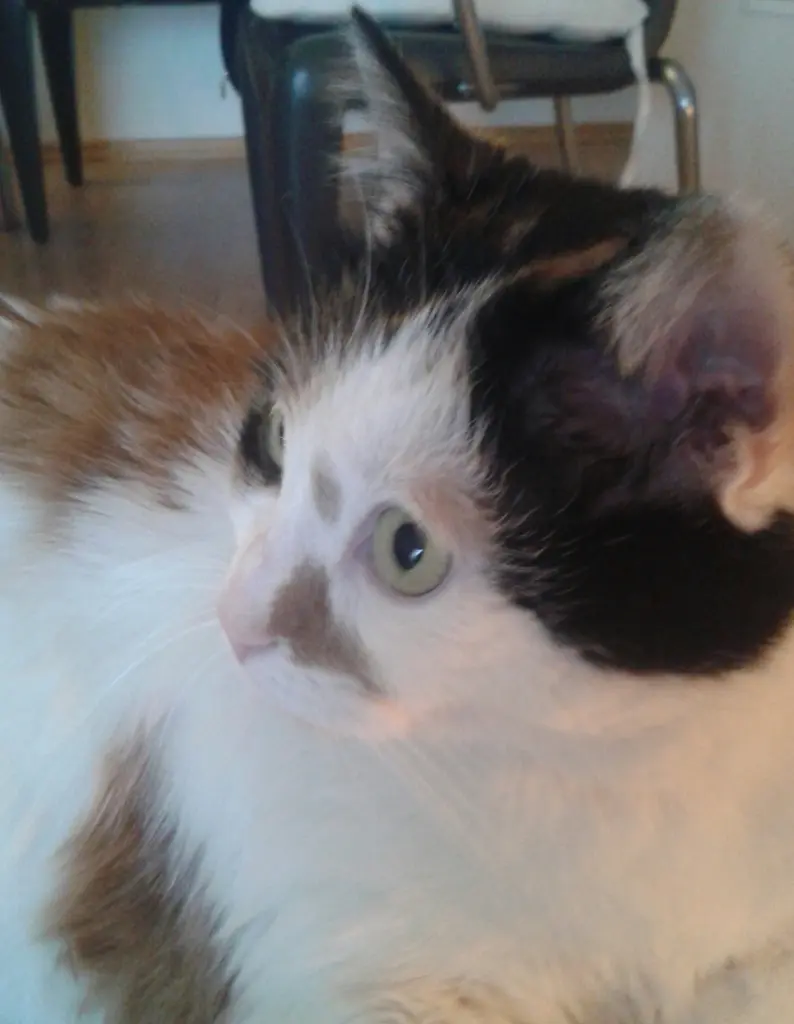 Condolence image of Christa