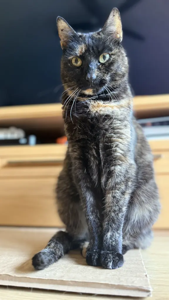 Condolence image of Bennet Schayna