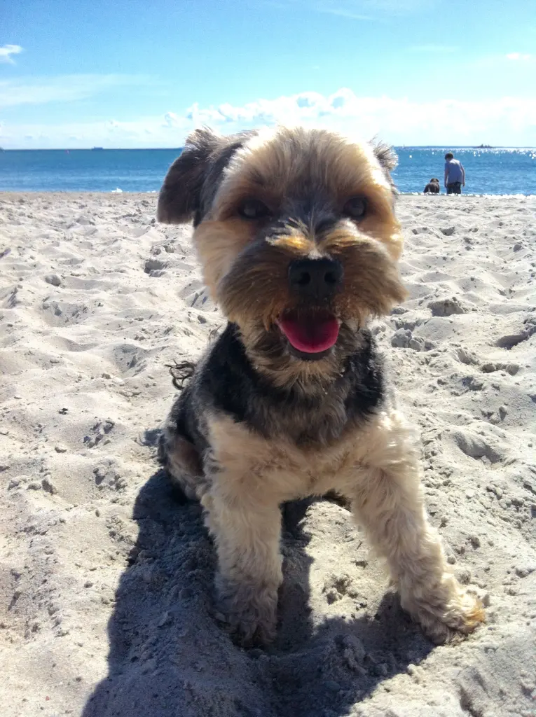 Sonne, Strand und Meer