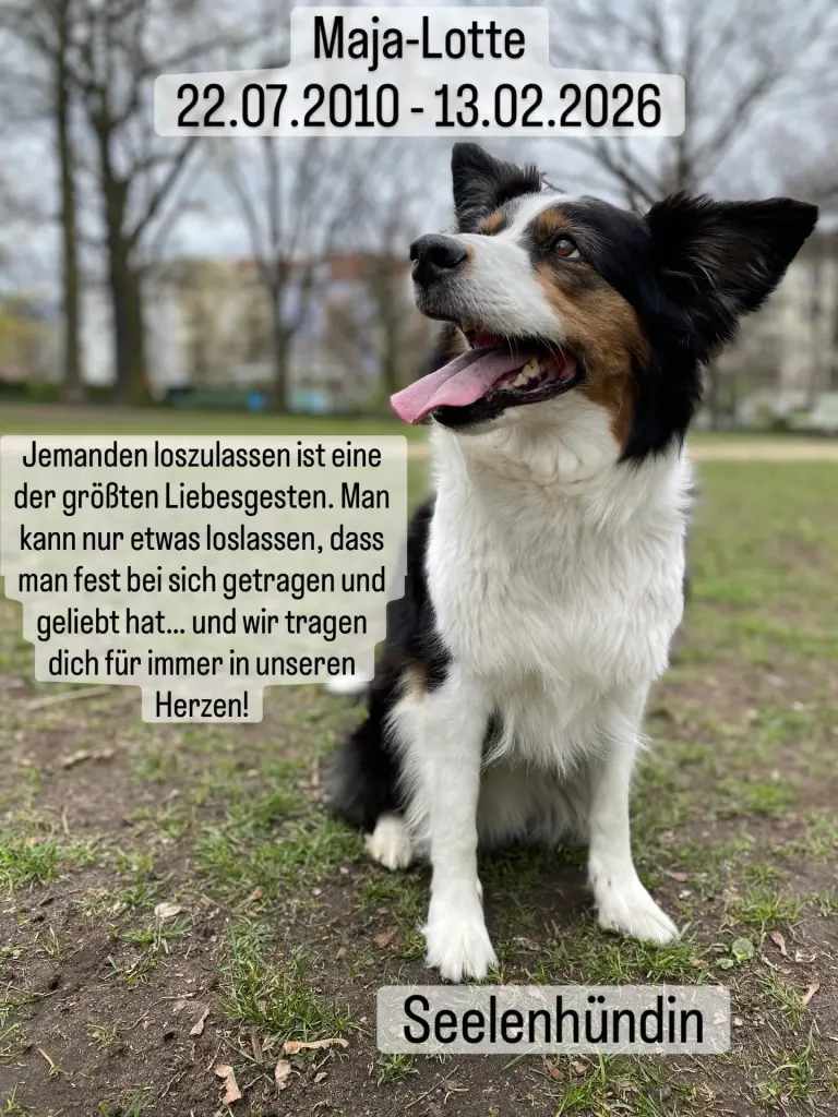 Image from Maja