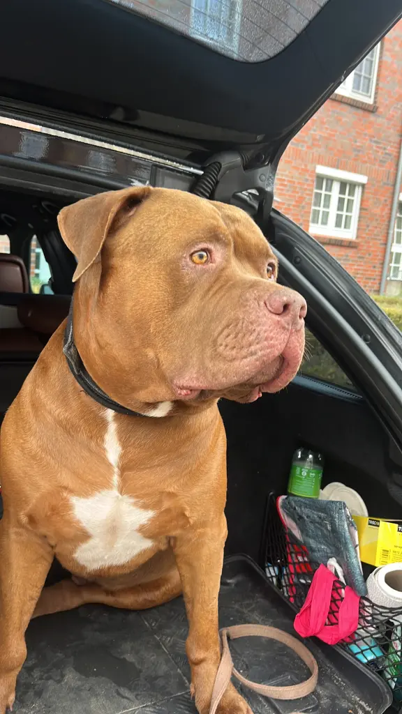 Condolence image of Marc Va