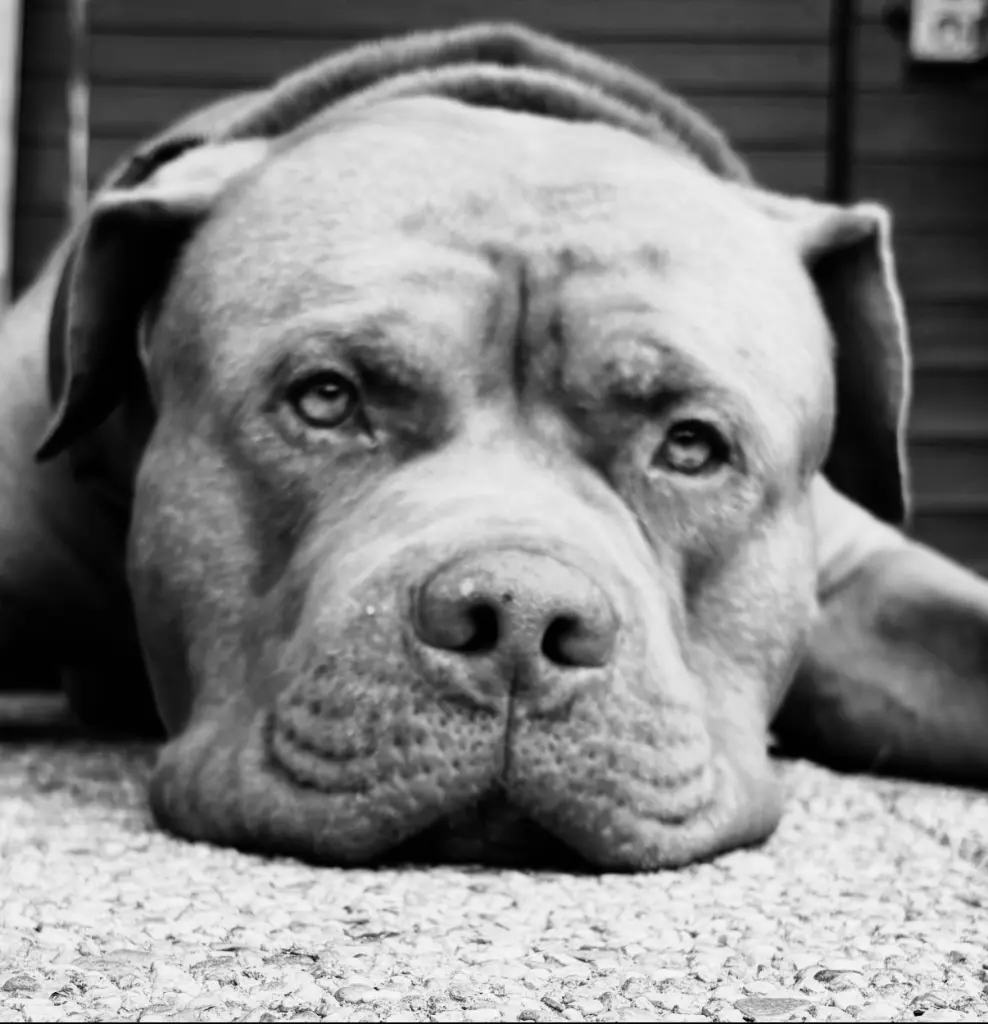 Condolence image of Roxanne Kult