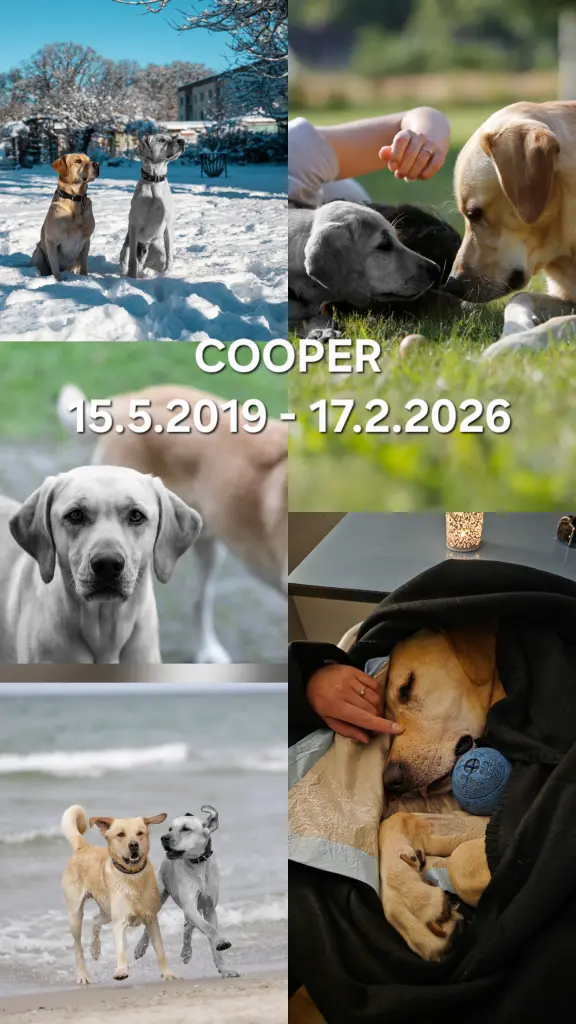 Image from Cooper