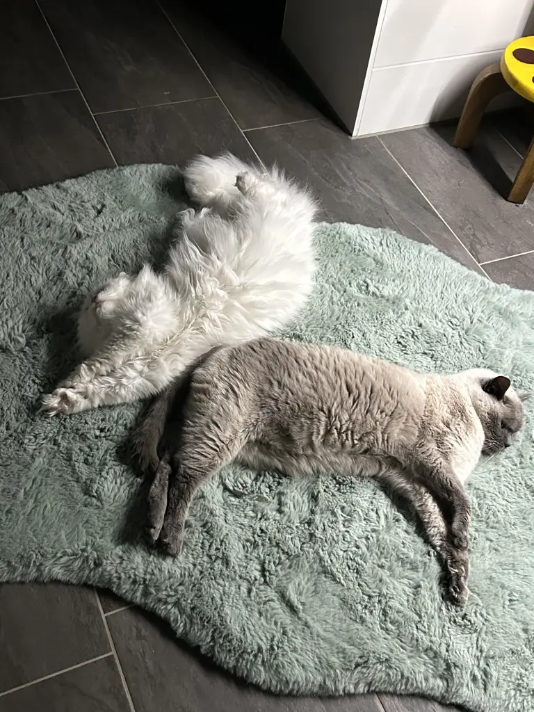 Mit deinem Kumpel ♥️