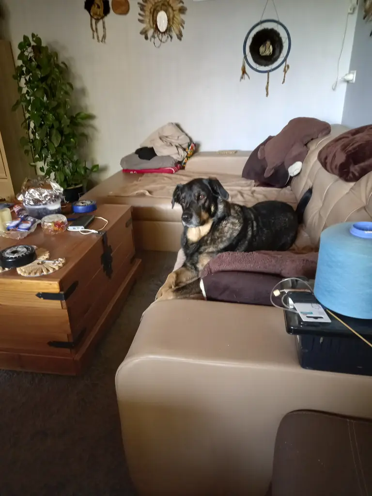 Image from Rocky