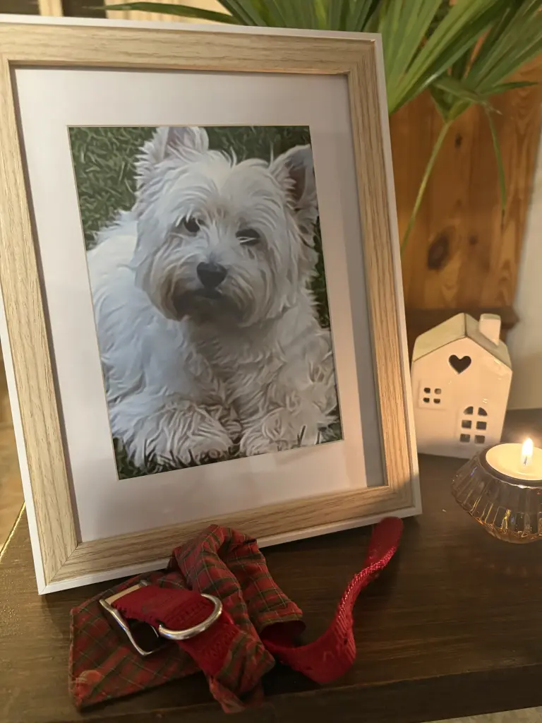 Image from Little Balou