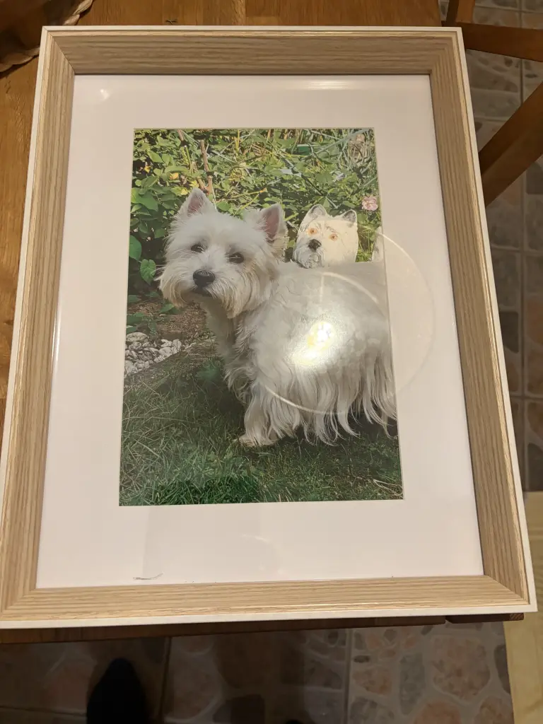 Image from Little Balou