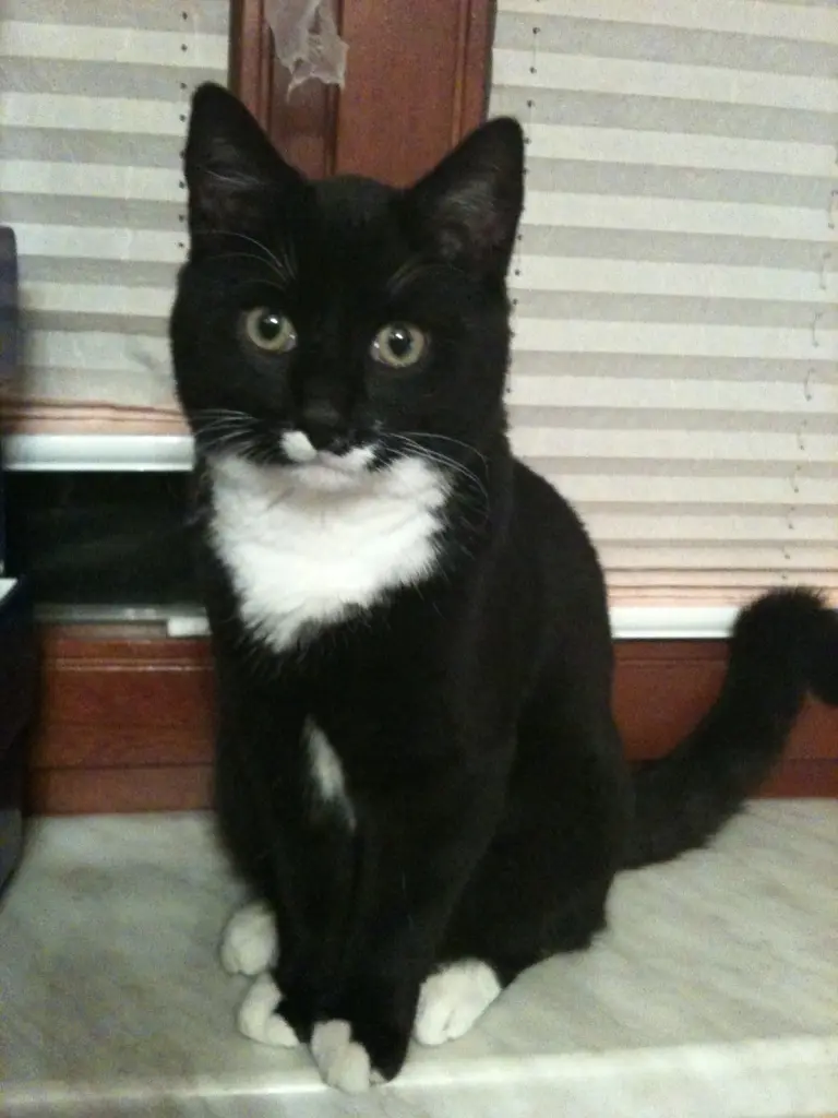 Condolence image of Romy
