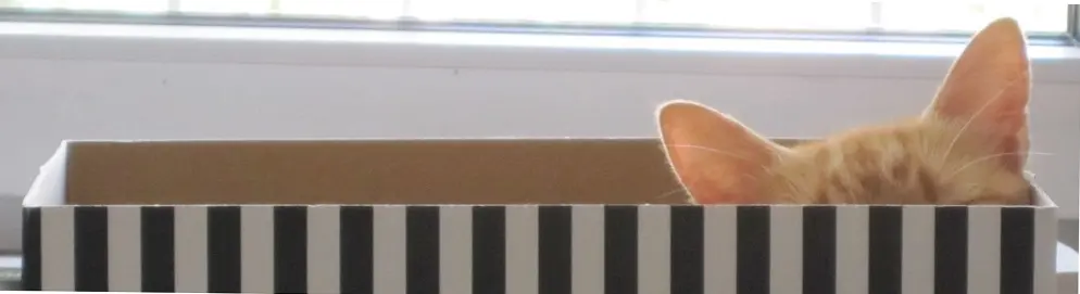 Image from Knispeline